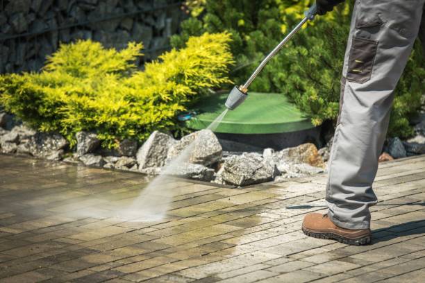 Best Fence Cleaning  in Ajo, AZ